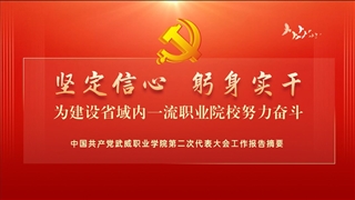 【一图速览】中国共产党我院第二次代表大会党委工作报告